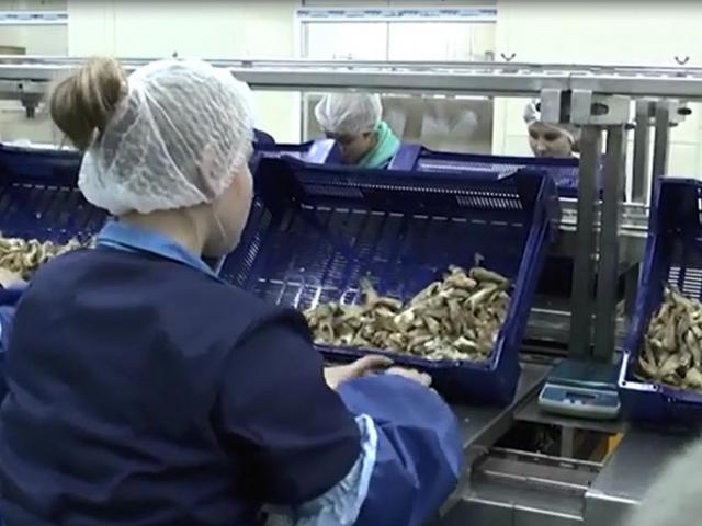 Фасовочный конвейер  в Саках